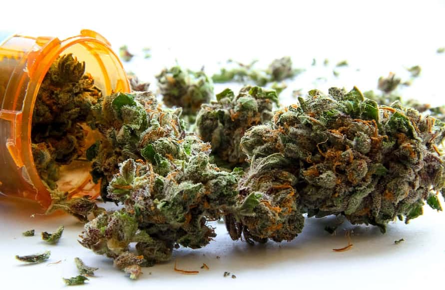 medical marijuana in NZ