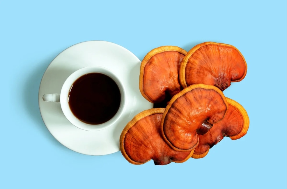 mushroom coffee
