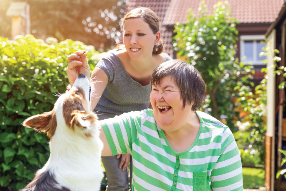 medium-term accommodation